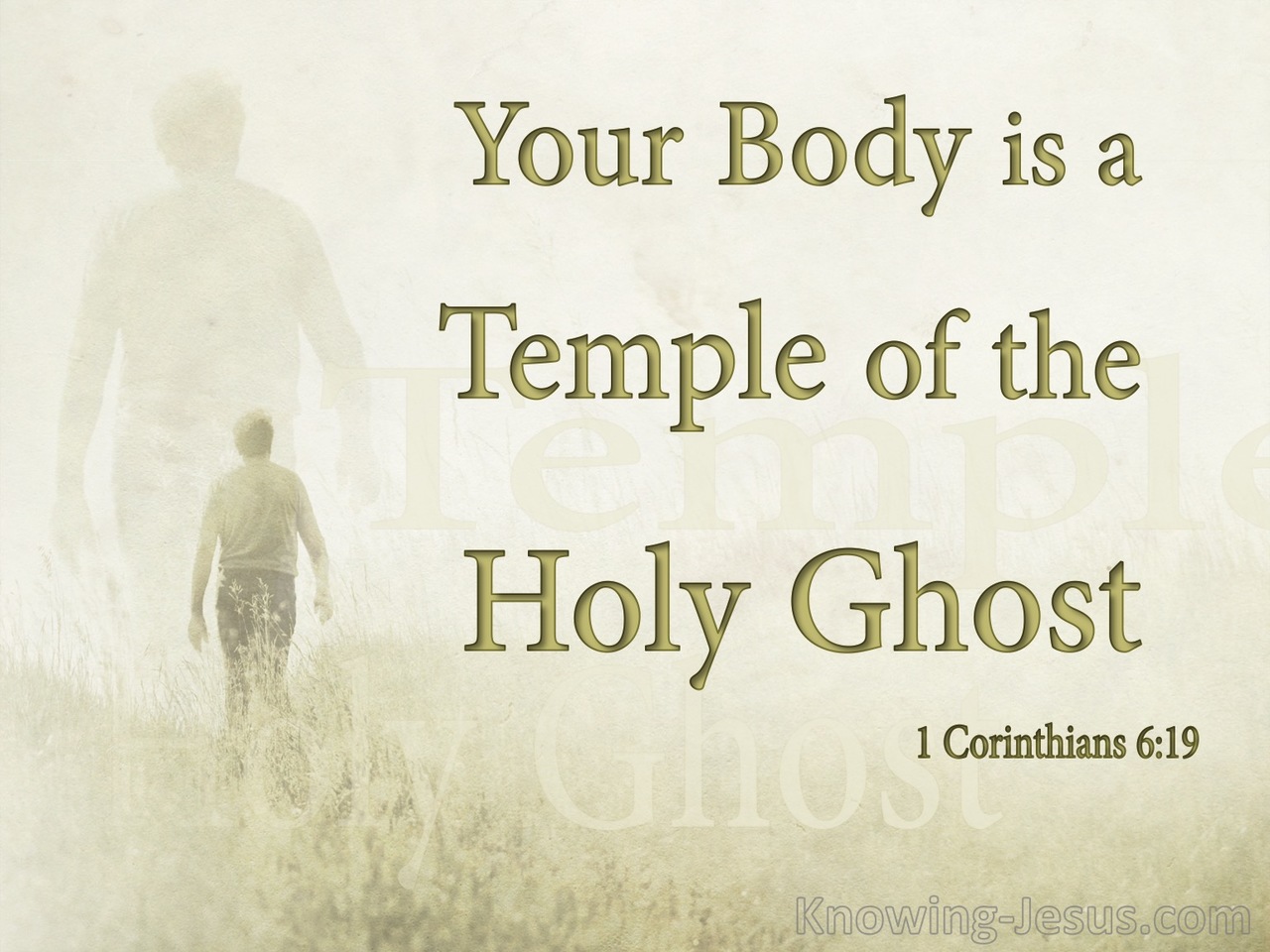 1 Corinthians 6:19 Your Body Is A Sanctuary Of The Holy Spirit (beige)